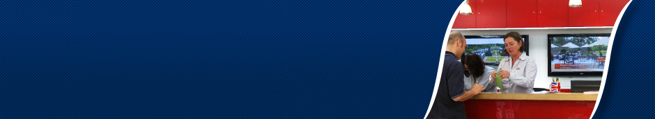 Digital Screen Network